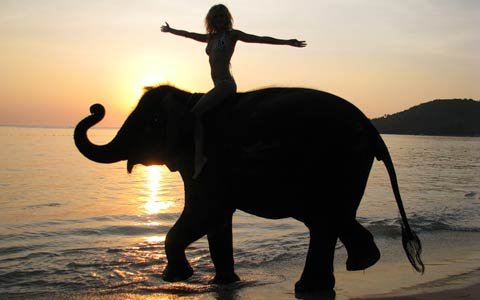 Зарубежная недвижимость: дауншифтеры зимуют в теплых краях. Доходы от сдачи квартир в аренду упали, но это обстоятельство пока их не смущает