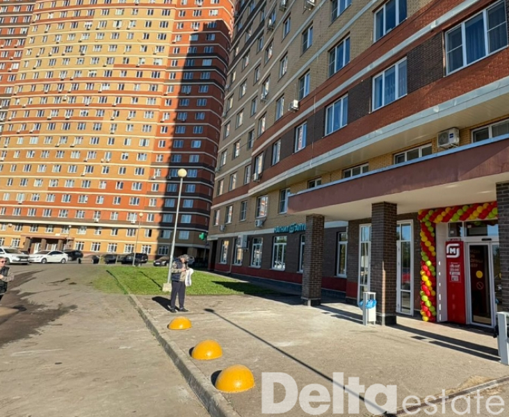 МО, Балашиха, Чистопольская, 24