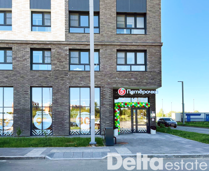 Москва, улица Гореловская д.3