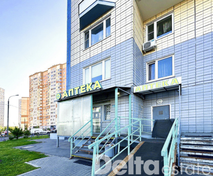 МО, Домодедово, Курыжова, 20