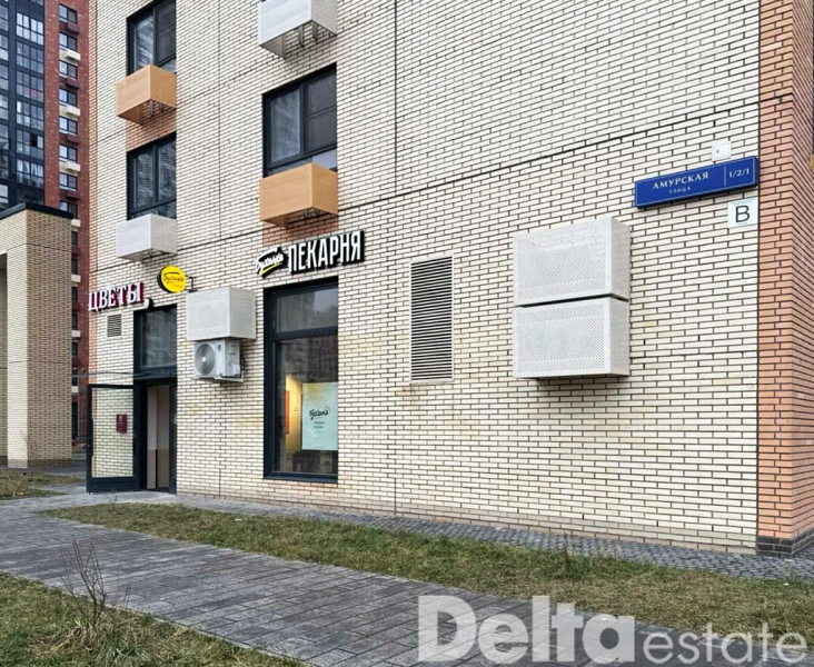 Москва, Амурская ул