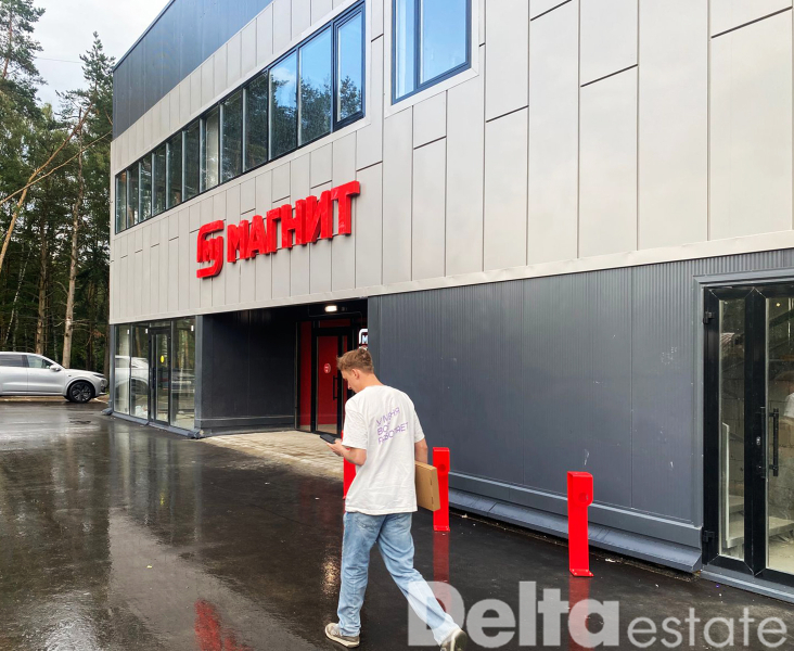 МО, Истра, Истринский городской округ, дер Борзые, ул. Аносинская 42, 42